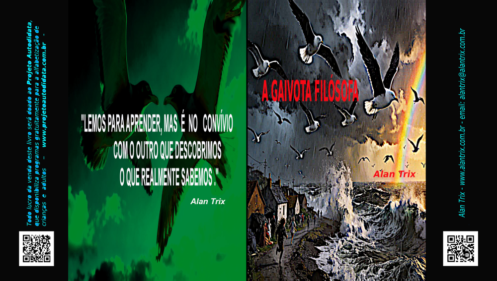 Capa do livro A Gaivota Filósofa